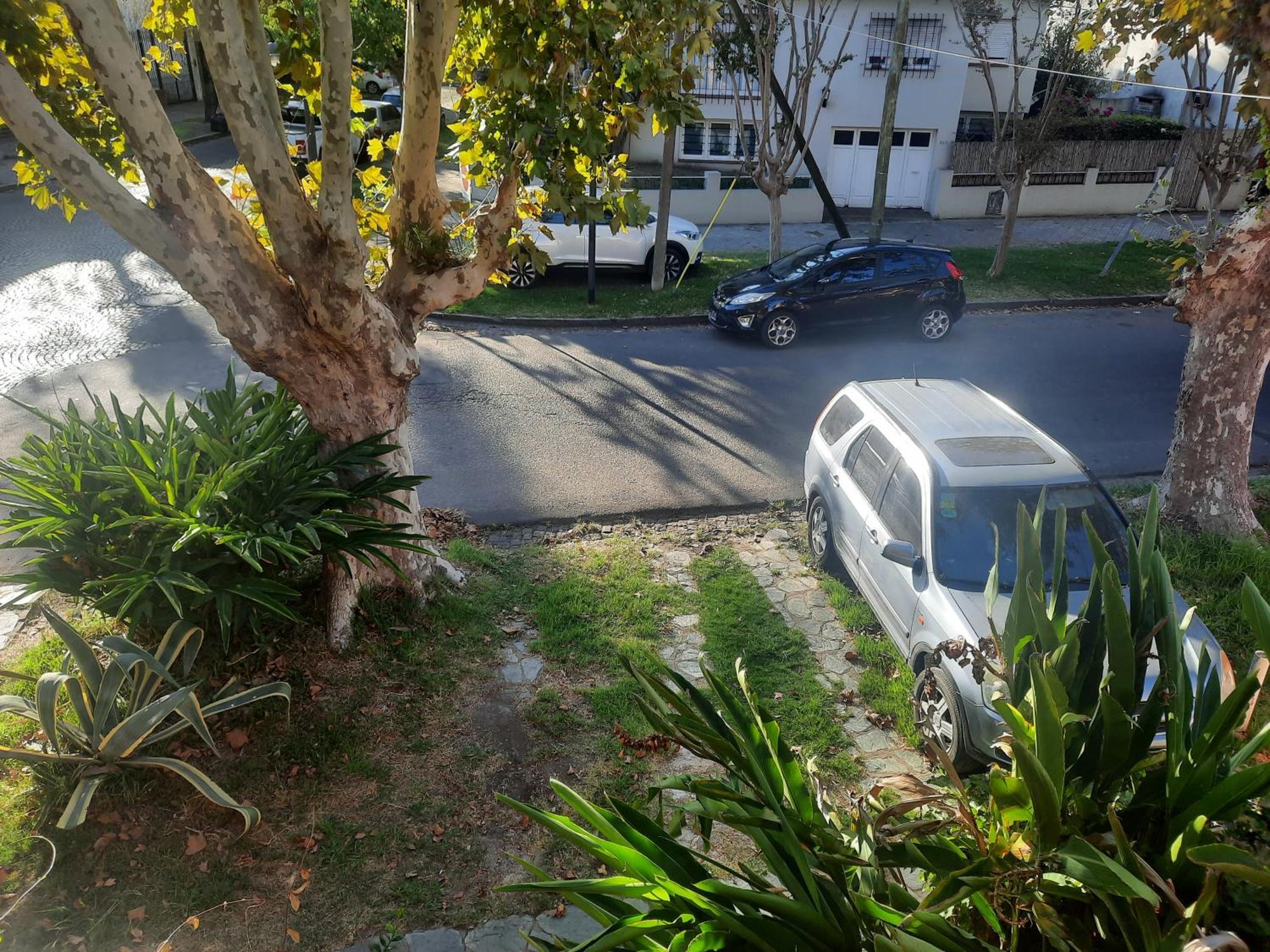 Aparts Del Jardin Tigre Luaran gambar
